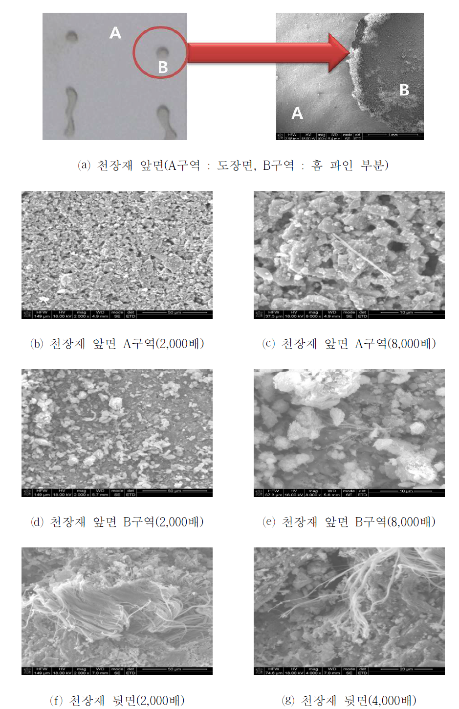 천장재 표면 주사전자현미경 사진