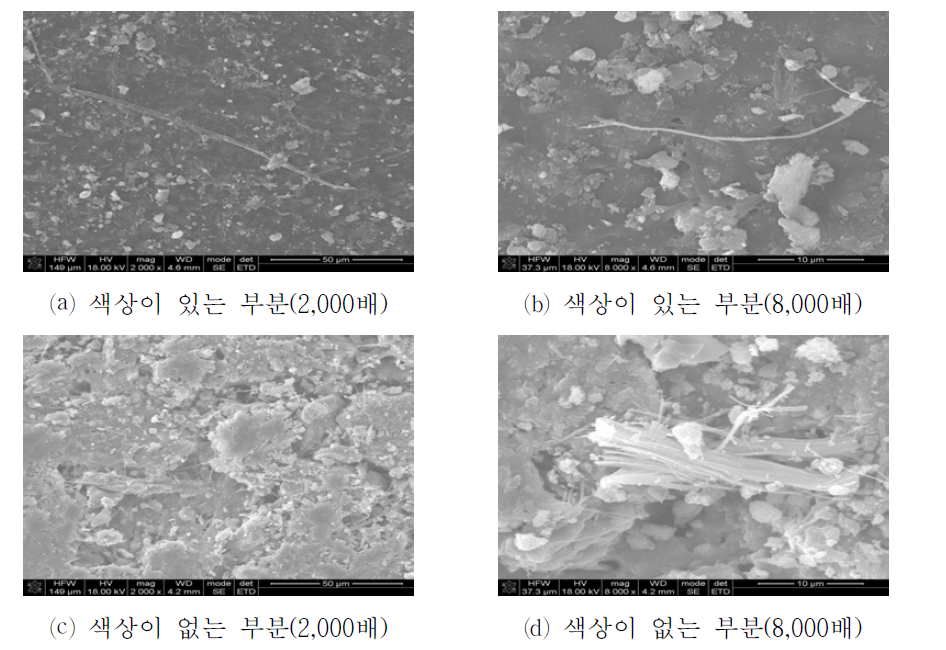 밤라이트 표면 주사전자현미경 사진