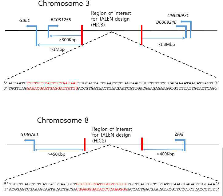 선정된 두 후보지역 (chr3, chr8)에서 RGEN의 sgRNA가 결합할 수 있는 부분 (빨강)을 선정 제작
