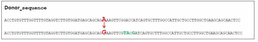 SF3B1 gene의 교정을 위한 single strand oligonucleotide의 디자인