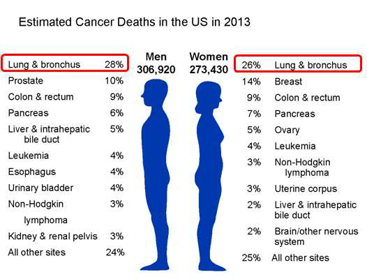 2013년 미국에서 암종별 암사망률