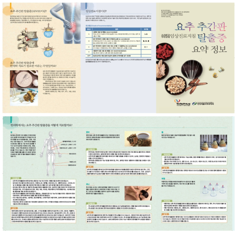 요추 추간판 탈출증 한의임상진료지침 리플렛