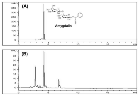 HPLC chromatographs of an amygdalin standard (A) and an extract of apricot kernel (B) with detection at 214 nm. The peak of amygdalin appeared at a retention time of 4.20 min.