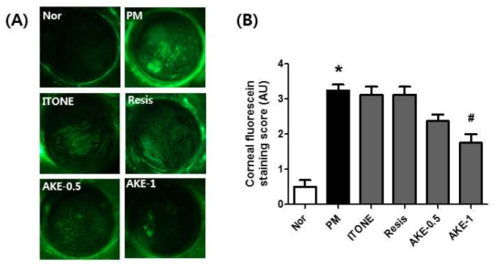 Effects of AKE on corneal epithelial damage.