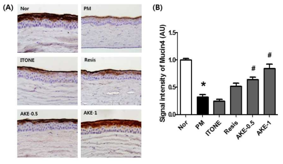 Effects of AKE on the expression level of Mucin4 on the ocular surface.