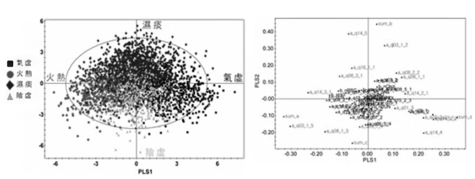 Pattern Identification classification model convergence type 니sing the PLS method