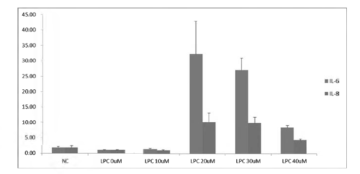 Increase of IL-6 and IL-8 secretion by LPC in huvec cell