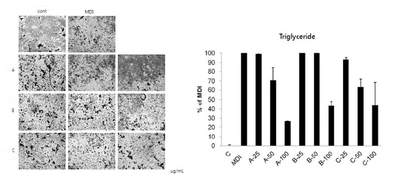 Anti-adipogenic effect of herbal formula