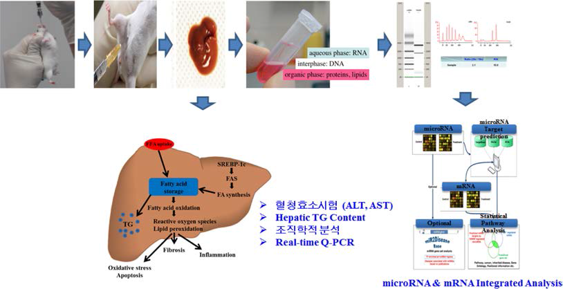 Microarray 분석 개요