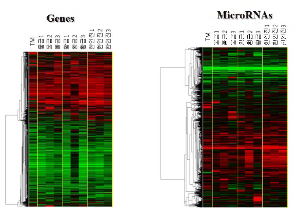 Microarray 발현 프로파일