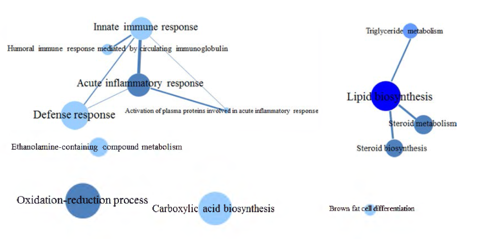 Gene ontology regulated in fatty liver model