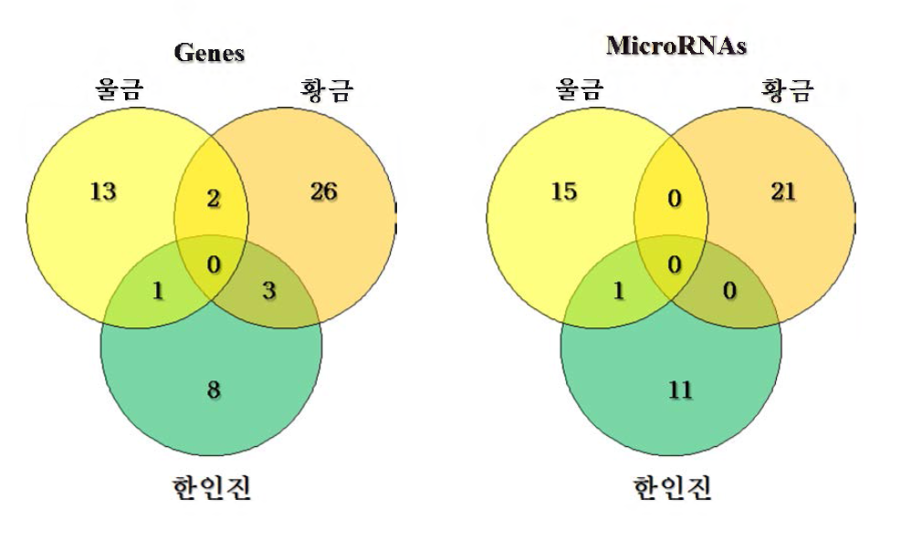 Venn Diagram of common genes and microRNAs regulated by herbal extracts