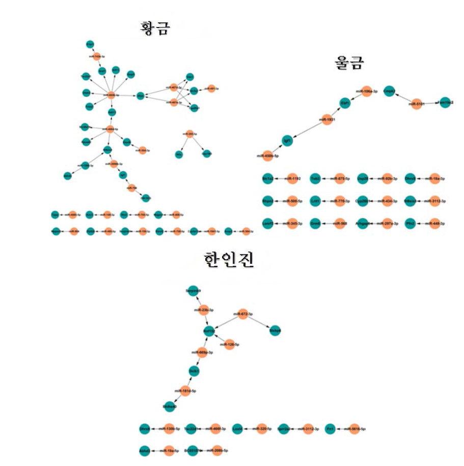 Network structure of genes and microRNAs regulated by herbal extracts