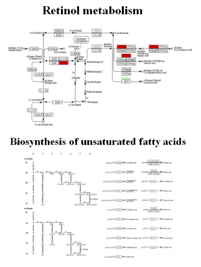 Pathways regulated by herbal extracts by way of microRNAs