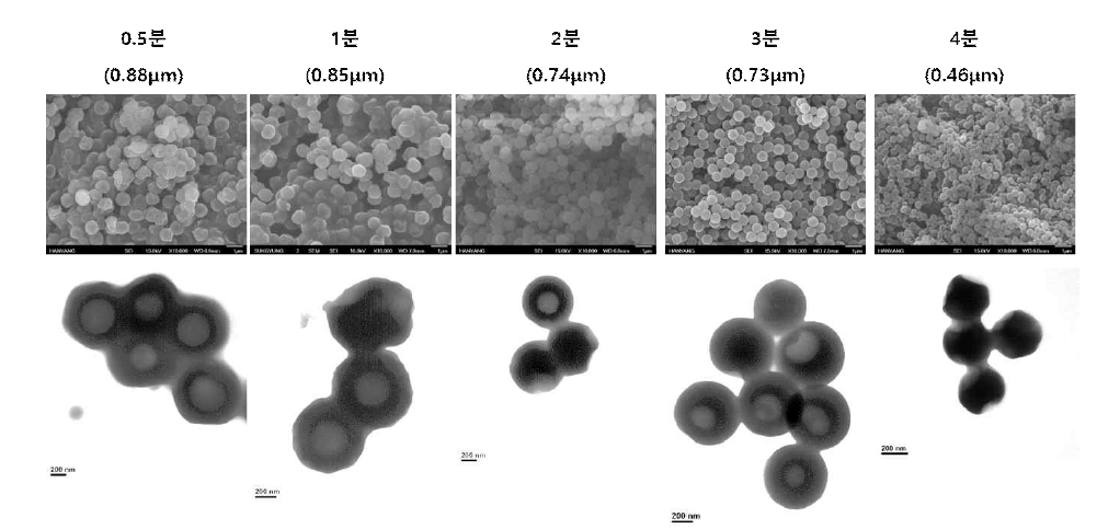가수분해 시간 변화에 따른 입자의 모폴로지 변화