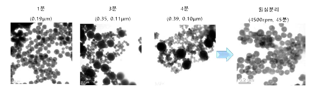 에탄올 첨가시 가수분해 시간에 따른 모폴로지 변화