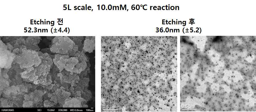 메탄올 첨가 조건에서 5L batch, 60℃로 제조한 입자의 에칭 전후