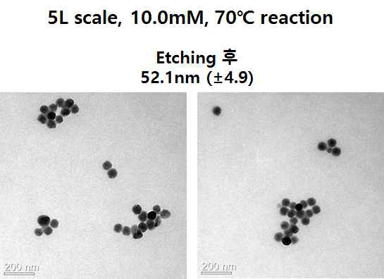 메탄올 첨가 조건에서 5L batch, 70℃로 제조한 입자의 에칭 전후