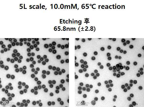 메탄올 첨가 조건에서 5L batch, 65℃로 제조한 입자의 에칭 전후