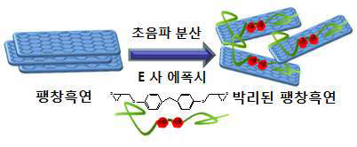 에폭시를 이용한 팽창 흑연의 분산 과정 모식도