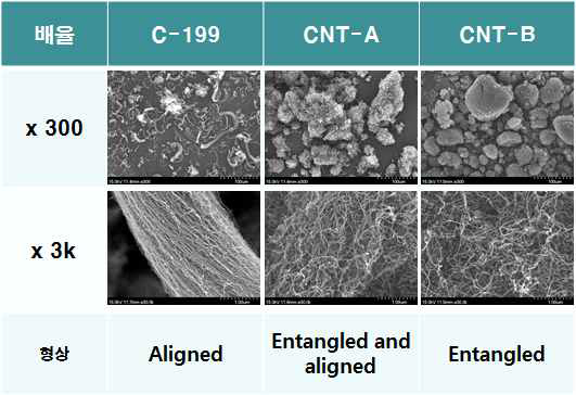 배열 정도에 따른 CNT의 SEM 형상
