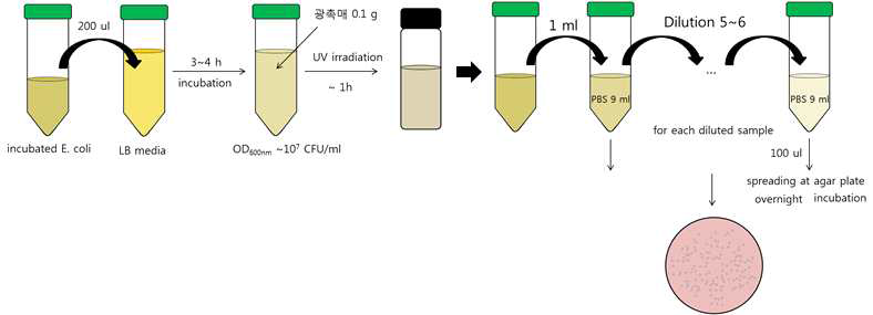 금속산화물 촉매의 항균 테스트 프로토콜