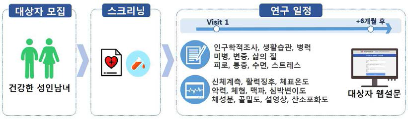 건강인 임상연구 일정