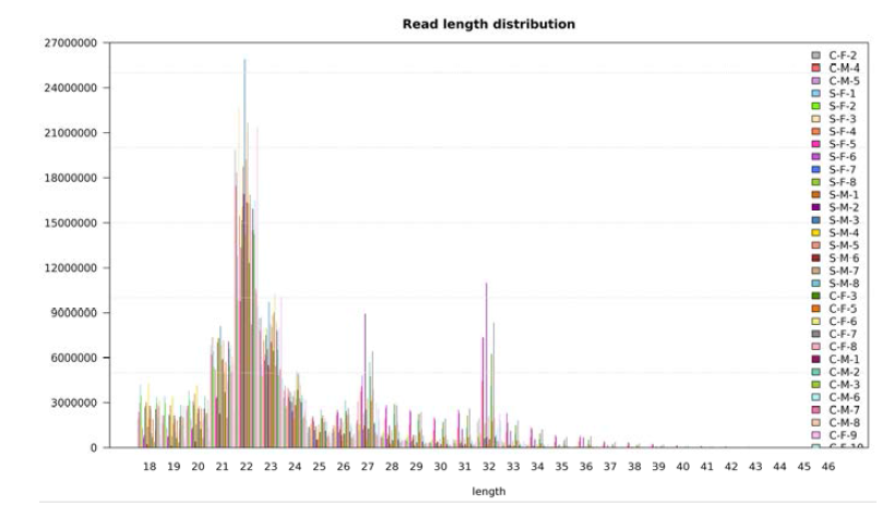 NGS 분석결과 RNA 길이에 따른 read 수 분포