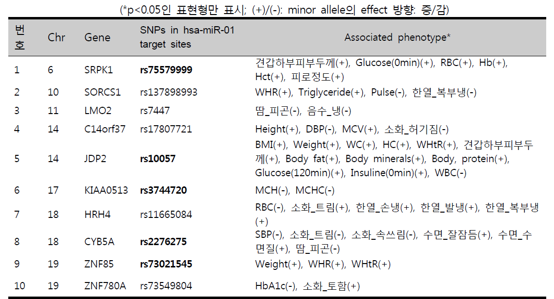 지역코호트 대상 hsa-miR-01 target gene site SNP 연관성 분석: 굵은 글씨는 후보 수면장애 SNP