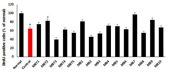 미병 후보 약물의 BrdU 증가