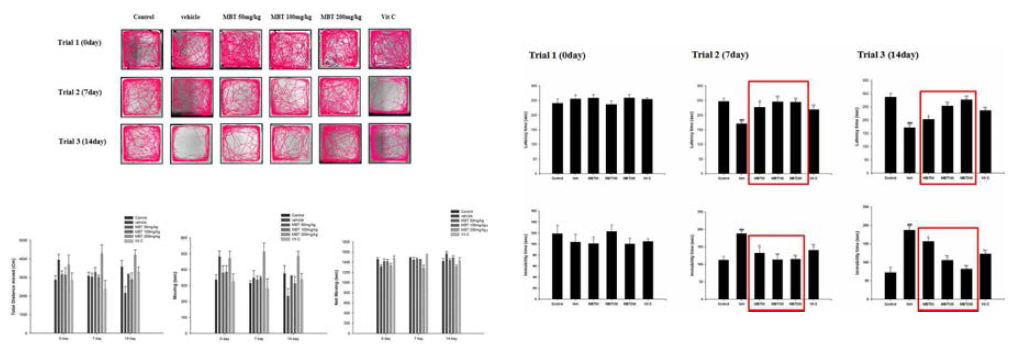 미병 후보 약물 MBT1의 운동수행능력, 무력감 개선 효능