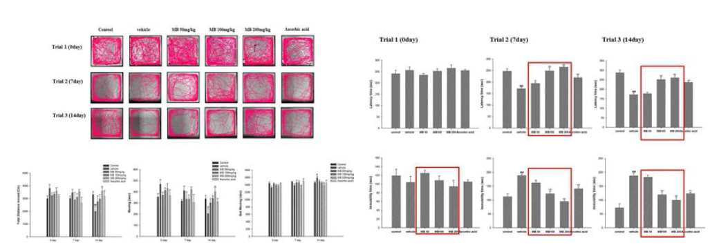 미병 후보 약물 MB1의 운동수행능력, 무력감 개선 효능