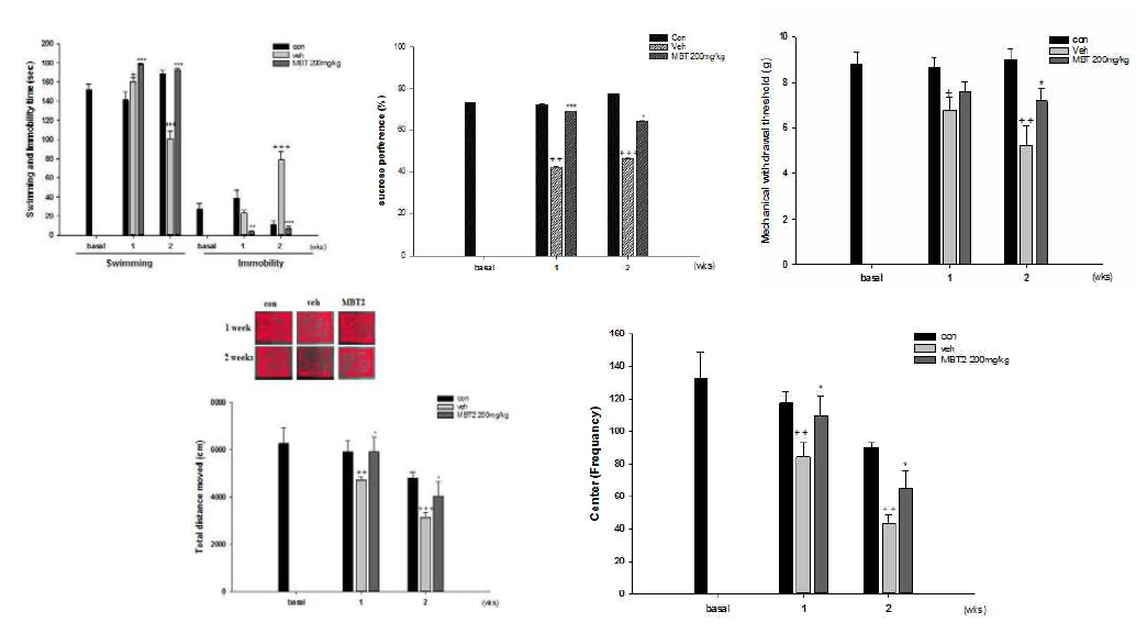 미병 후보 약물 MBT2의 운동수행능력, 무력감, 통증민감도 개선 효능