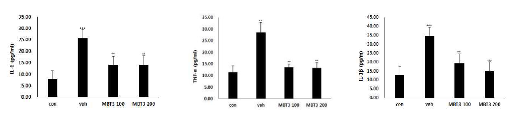 미병 후보 약물 MBT3의 항염증 효능