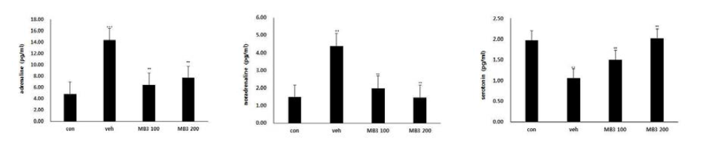 미병 후보 약물 MB3의 피로관련 호르몬 개선효능