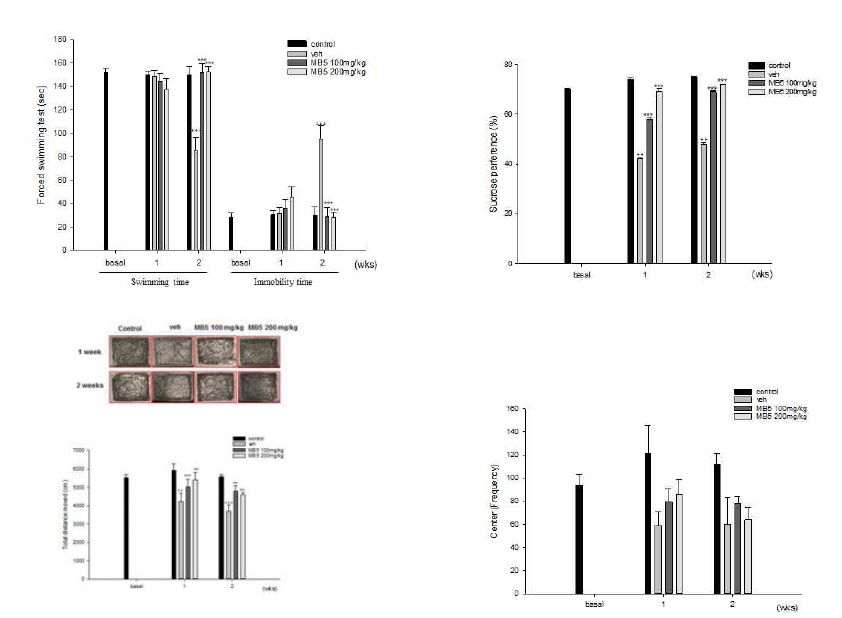 미병 후보 약물 MB5의 운동수행능력, 무력감 개선 효능