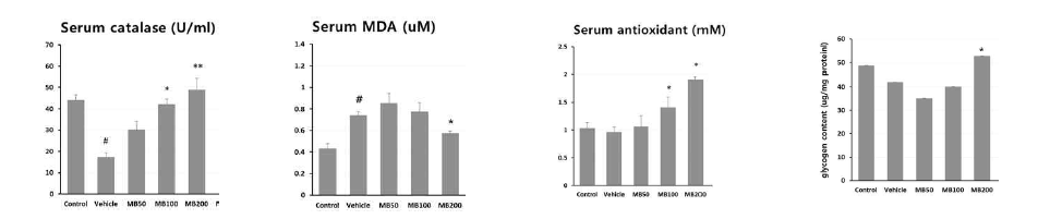 미병 후보 약물 MB1의 항산화, 피로개선 효능