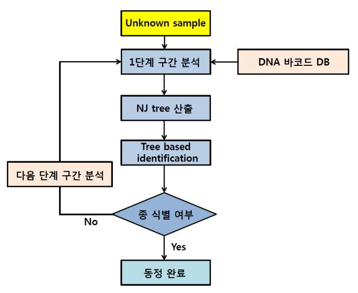 자생 난과 및 산형과 식물의 단계적 종 판별 알고리즘.