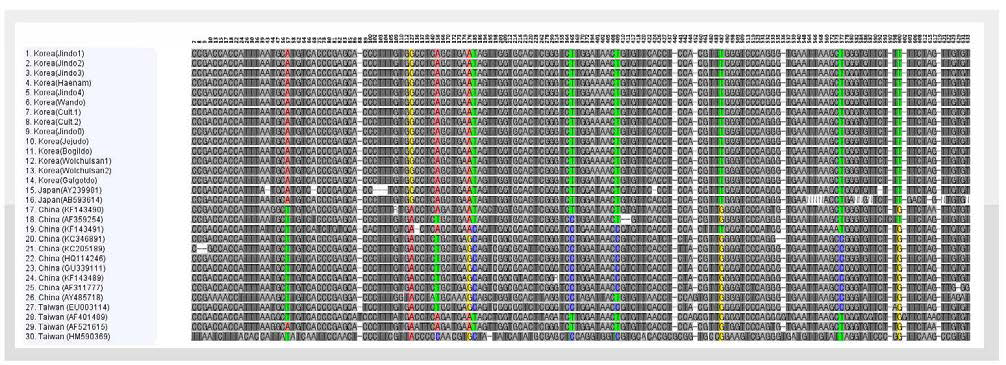 30개 석곡 ITS 서열을 비교하여 얻은 염기서열 변이