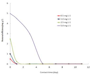 Removal efficiency of Pb by chironomid larvae.