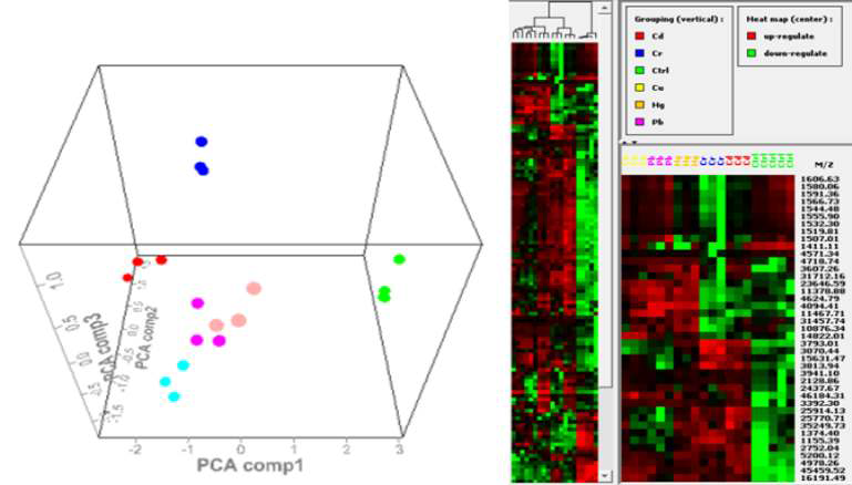 Peak 발현 변화양상을 이용한 3D PCA 분석 및 heat map