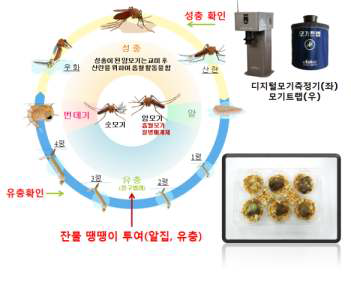 천적생물 현장적용 모식도