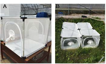 실험망 및 격리수계(mesocosm)에 배치된 모습