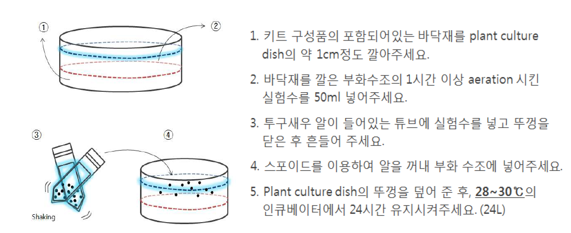 알의 부화