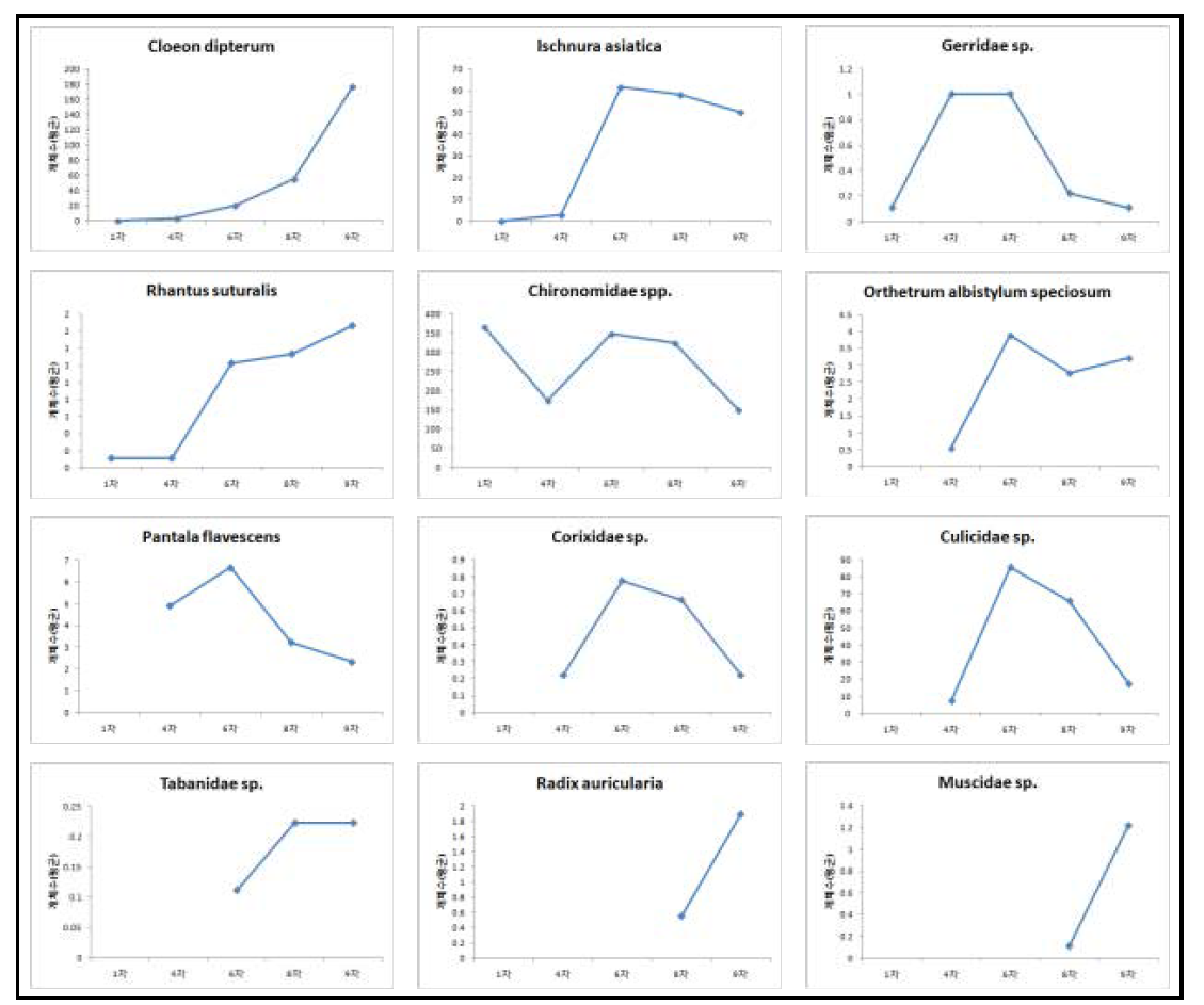 조사시기별 종의 개체수 변화