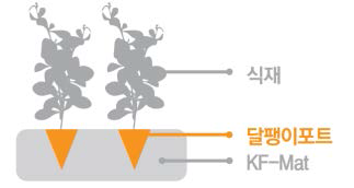 부유매트(KF-mat)내 달팽이포트 식재된 형태의 단면도