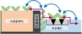 수직식생대 조성을 통한 식물서식지의 횡적생태축 연결성