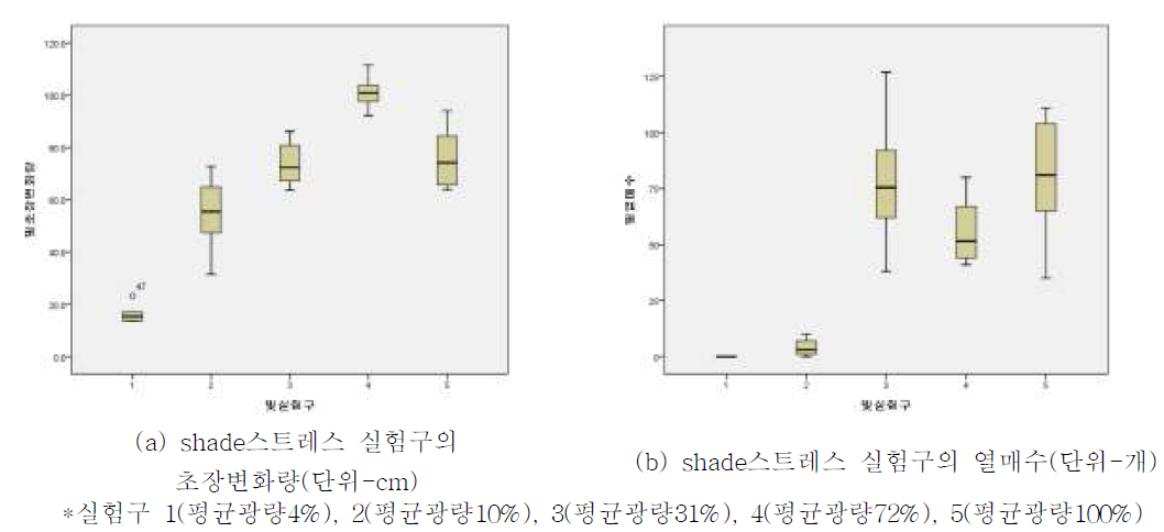 광량에 따른 shade 스트레스 실험 결과