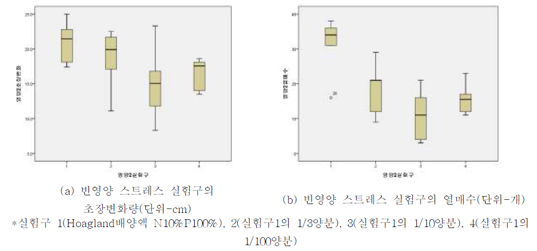 양분 농도에 따른 빈영양 스트레스 실험 결과