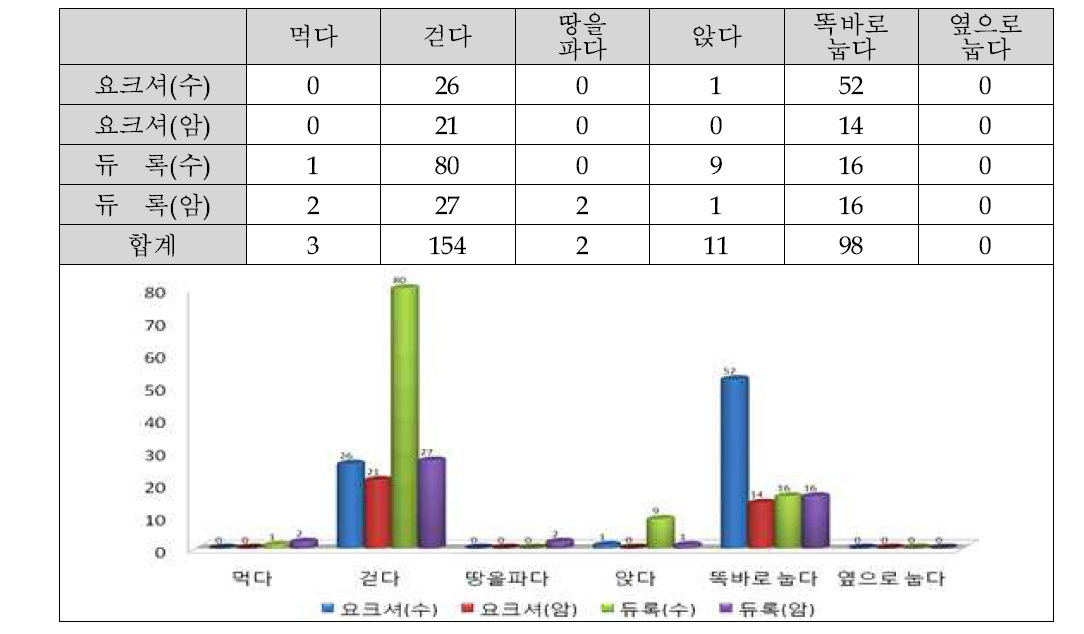 이상행동 횟수